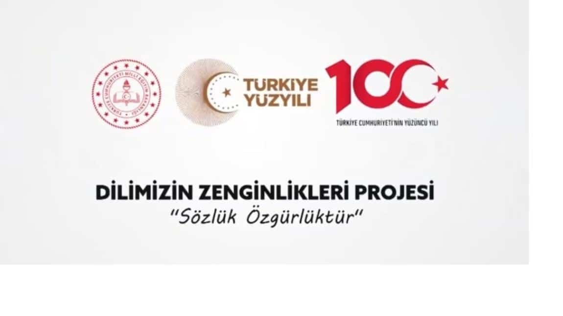 DİLİMİZİN ZENGİNLİKLERİ